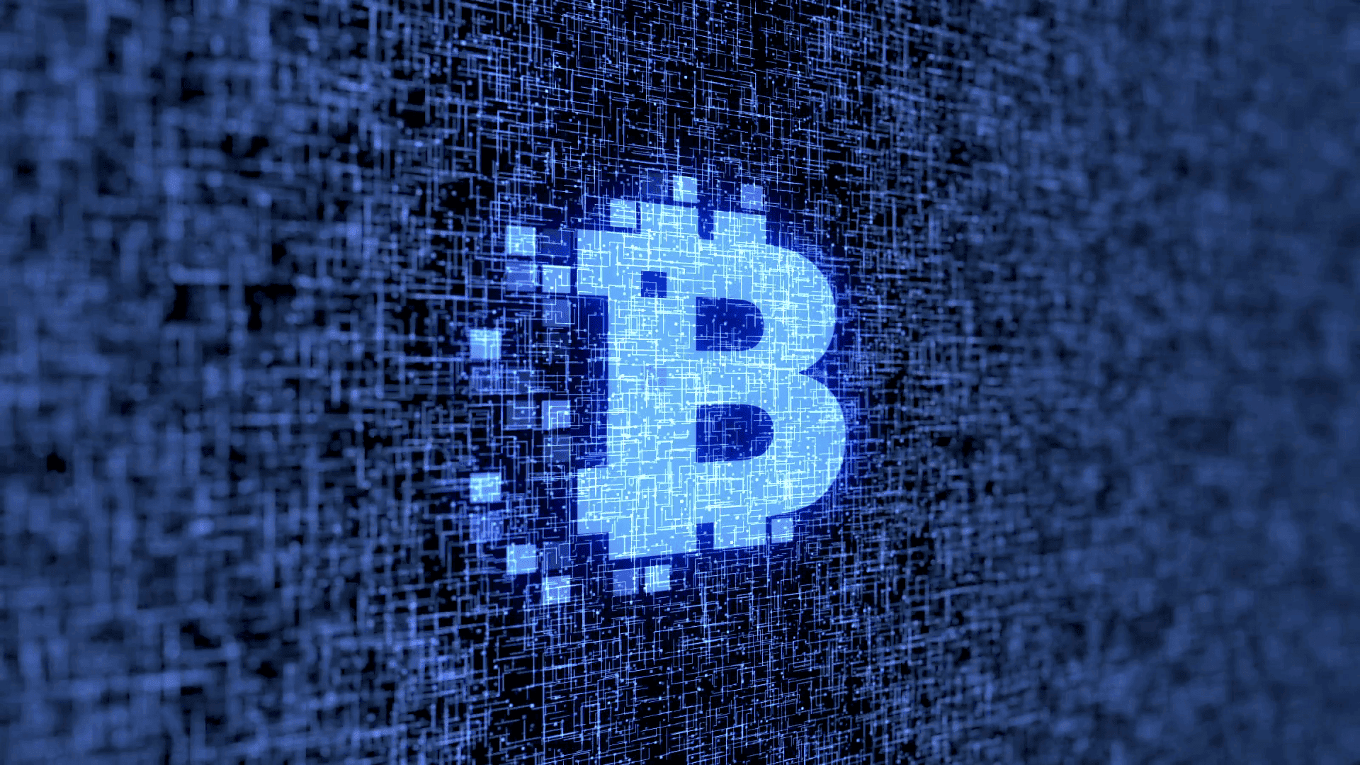 Blockchain Developers